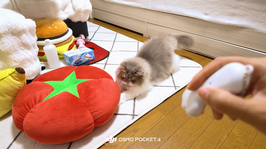 2026 年 8 月 8 日